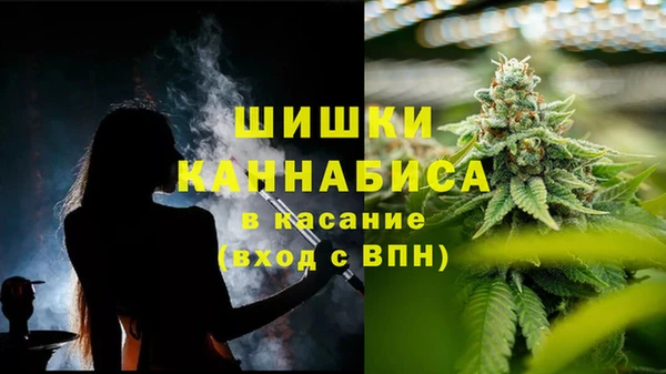 трава Дмитриев